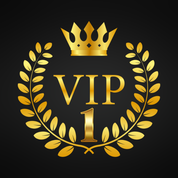 VIP Program 1