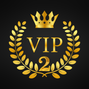 VIP Program 2