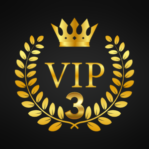 VIP Program 3