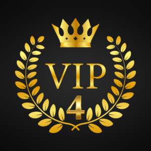 VIP Program 4